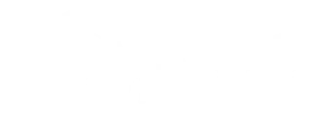 2 Dudes Moving Logo