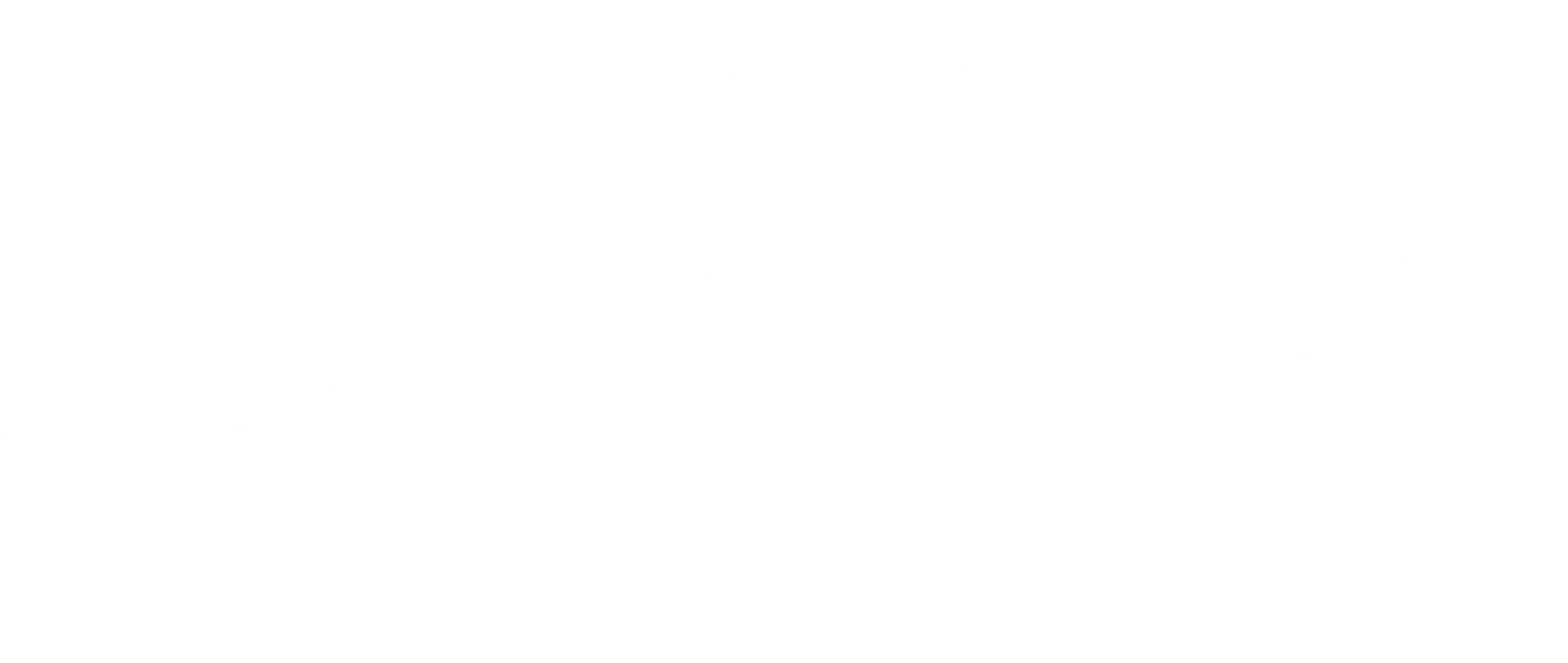 Above Average Moving LLC logo