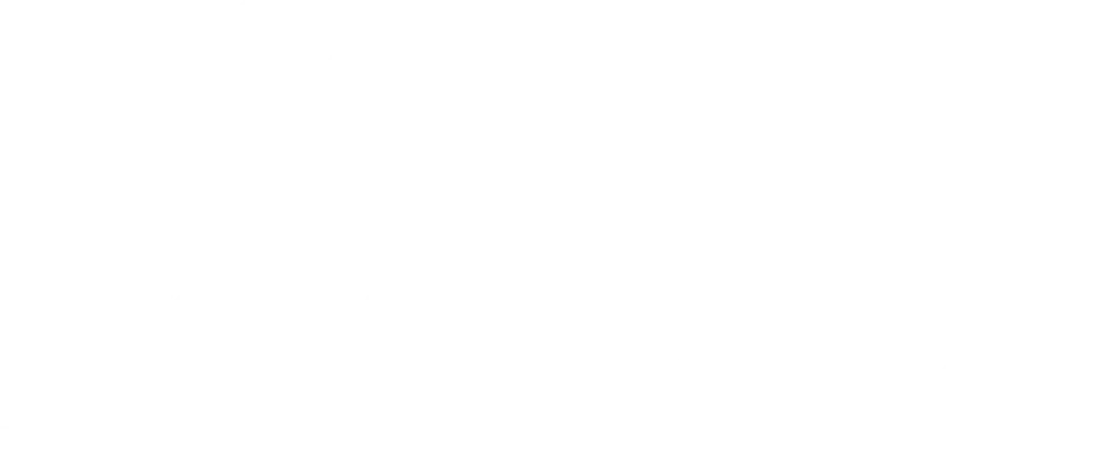 Ace Moving & Storage Co Inc logo