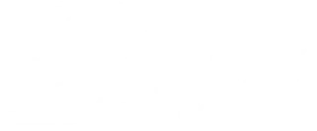 Ace Moving & Storage Co Inc Logo