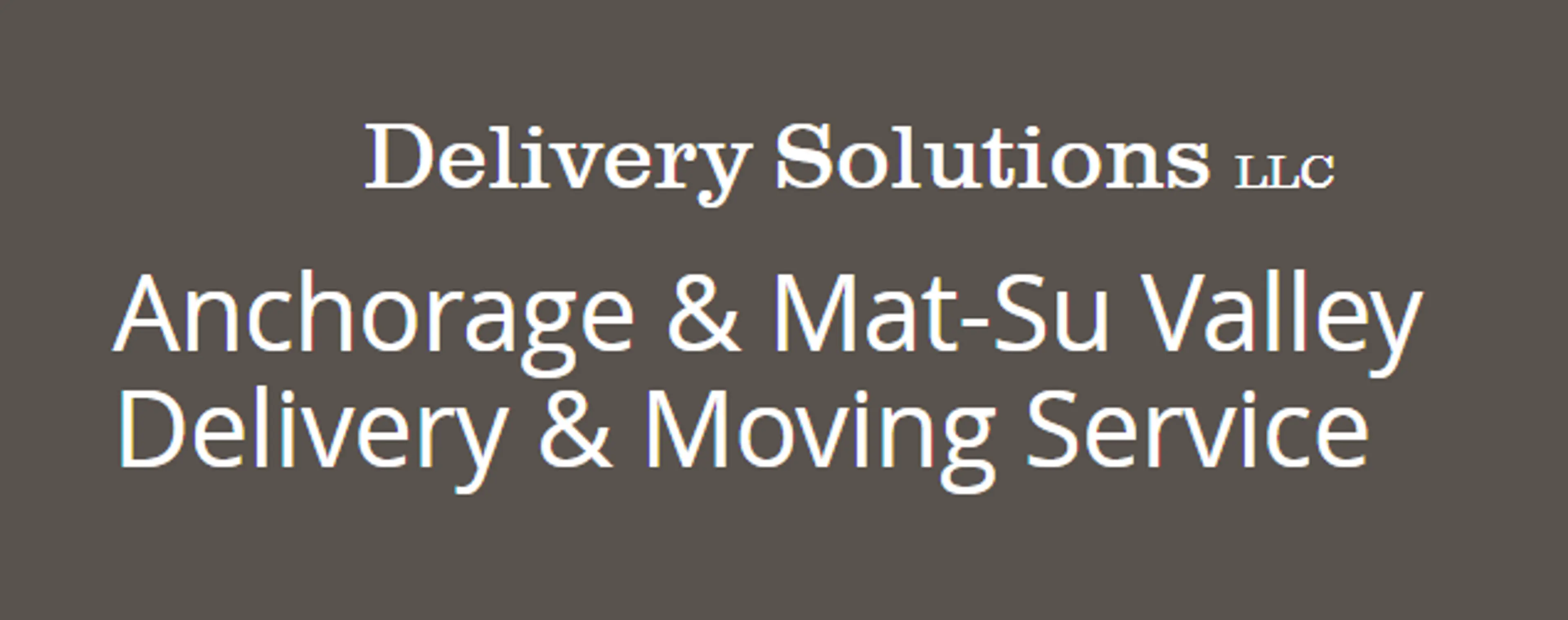 Delivery Solutions logo