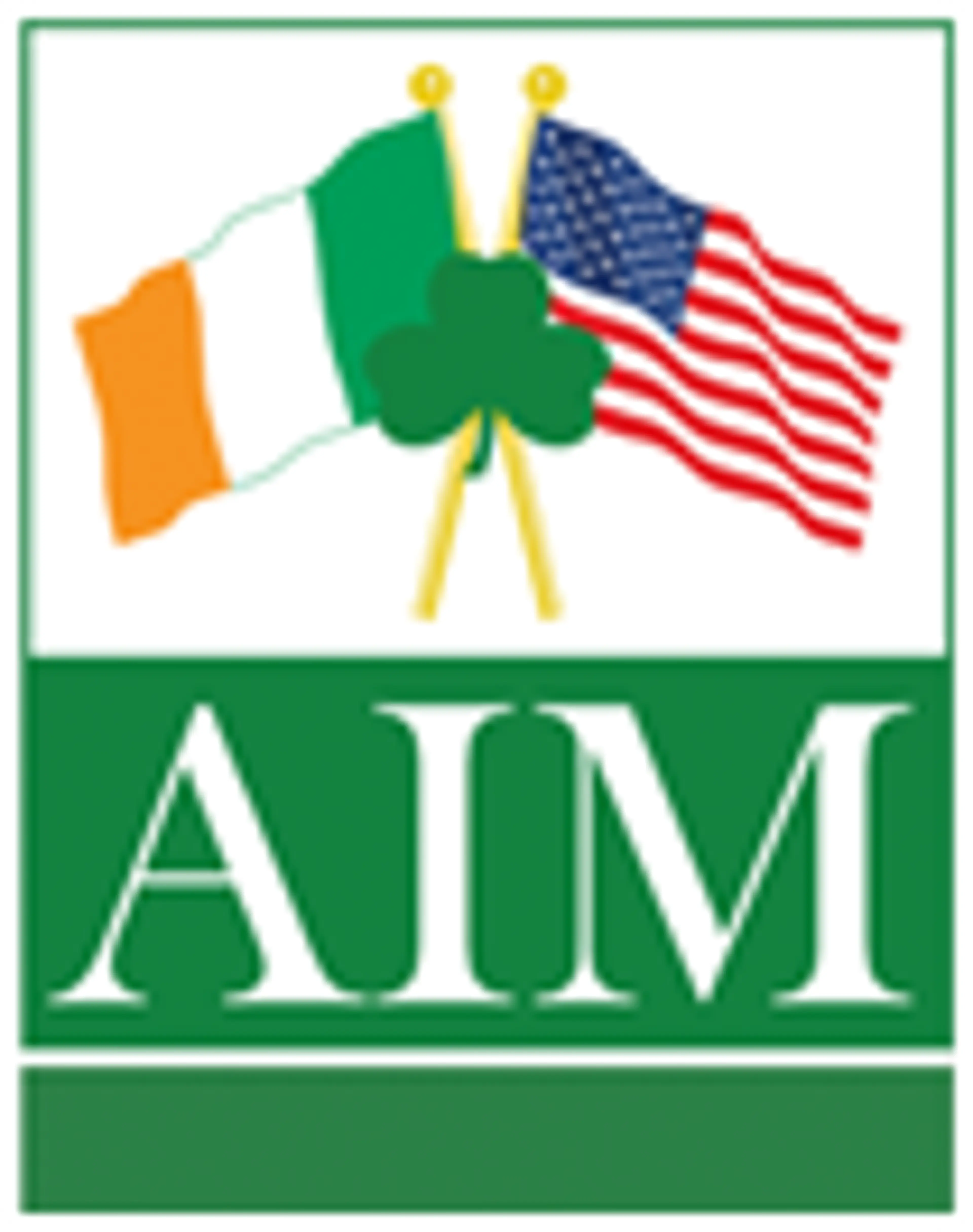 Allied Irish Movers & Storage logo