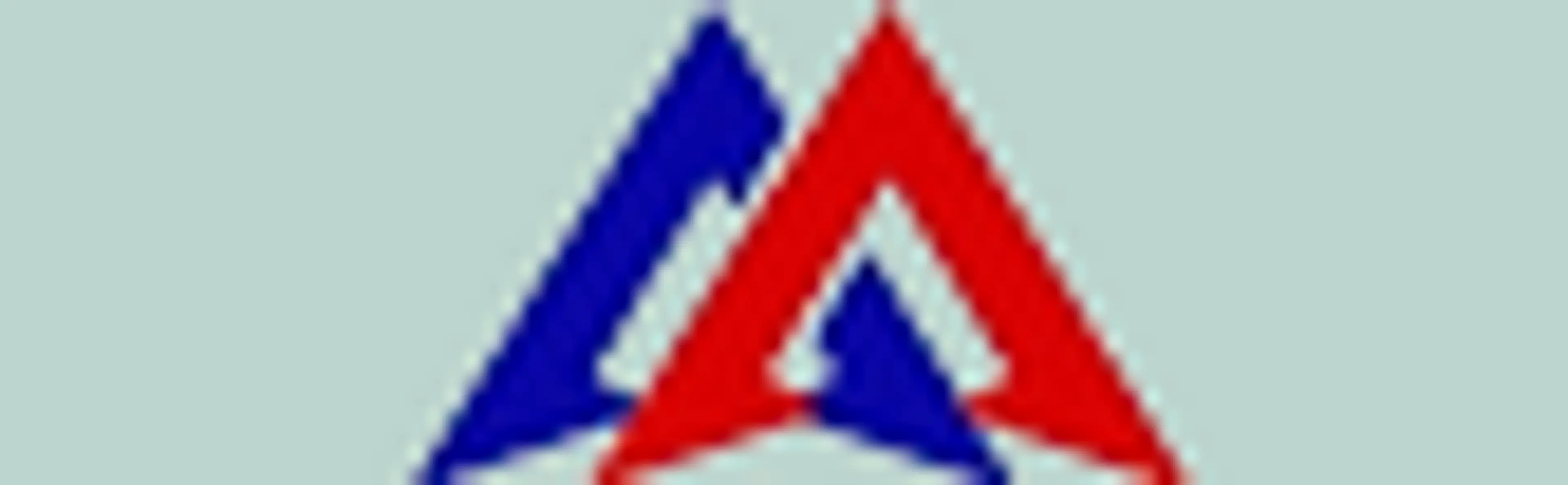 American National Movers -- NYC logo