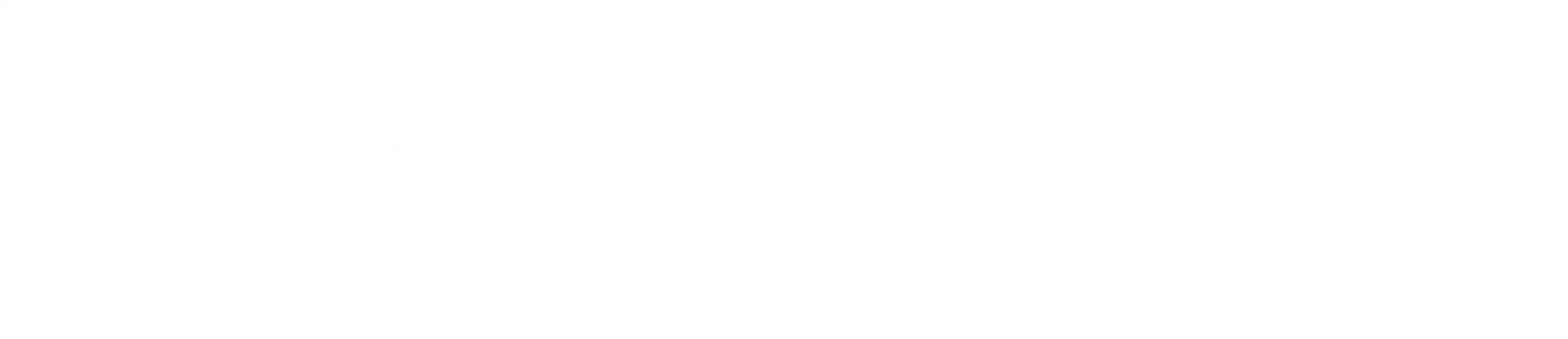 Anton's Movers logo