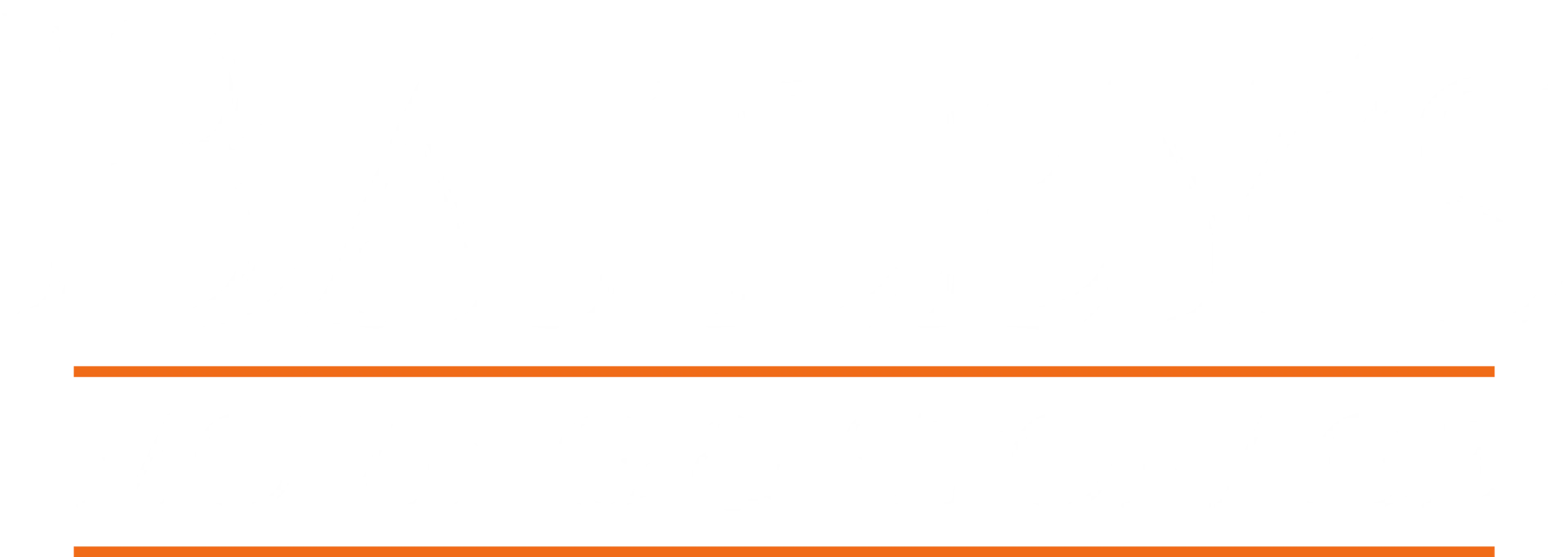 Bailey's Moving and Storage logo