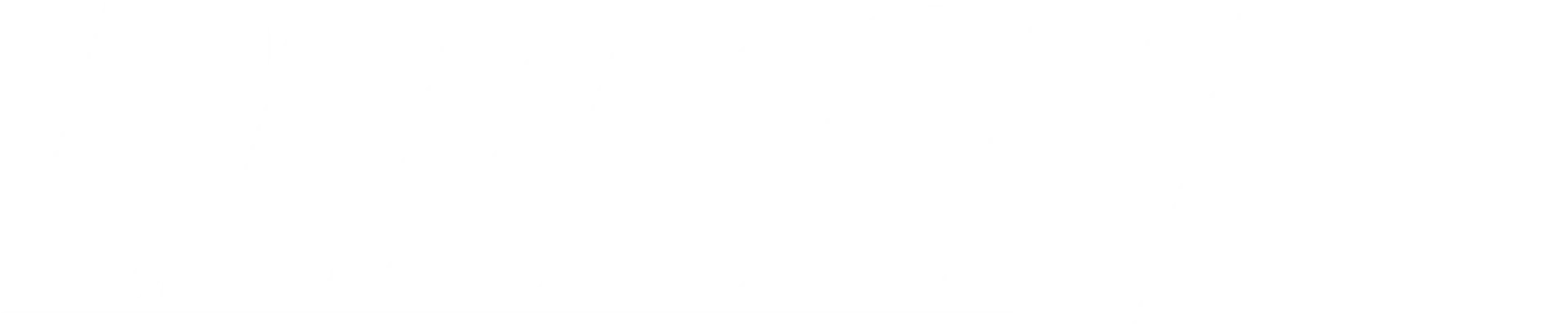 Berman Moving & Storage, Inc. logo