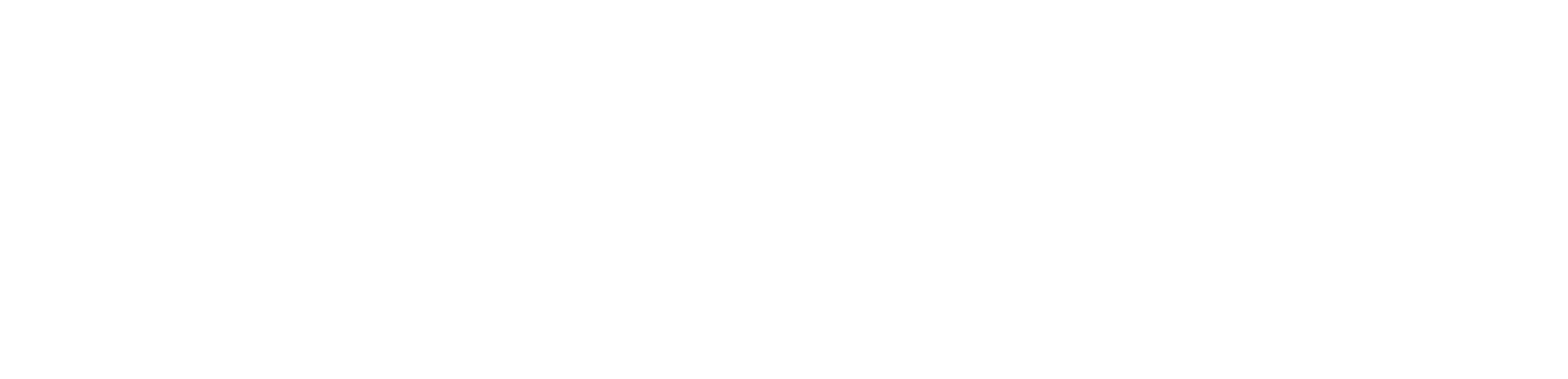 Bernard Movers logo