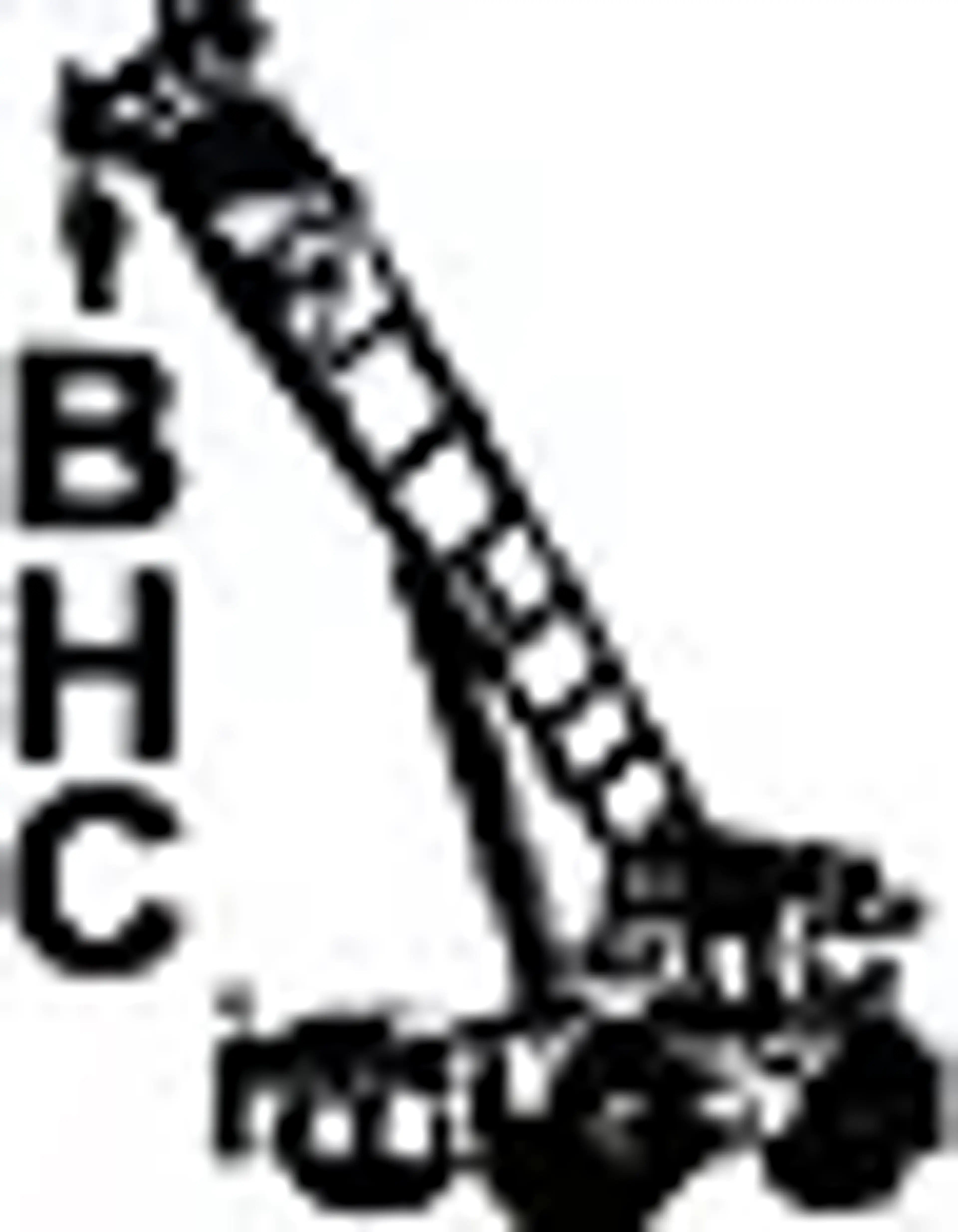 Ben Howell Construction Inc logo