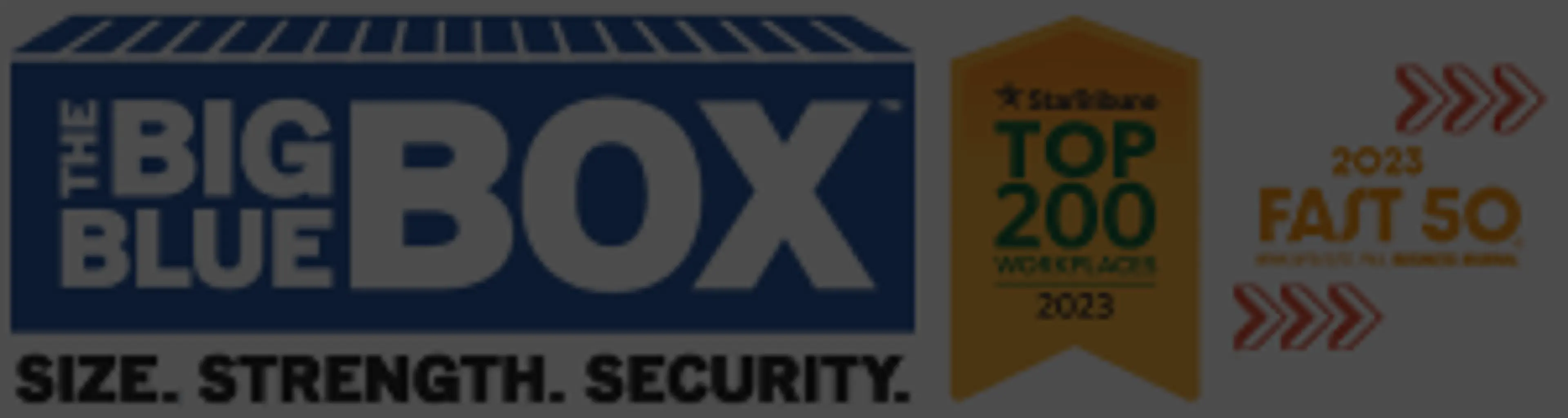 Big Blue Boxes logo