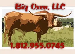 Big Oxen Company Logo