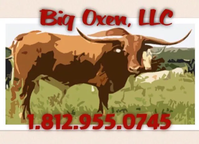 Big Oxen Company Logo