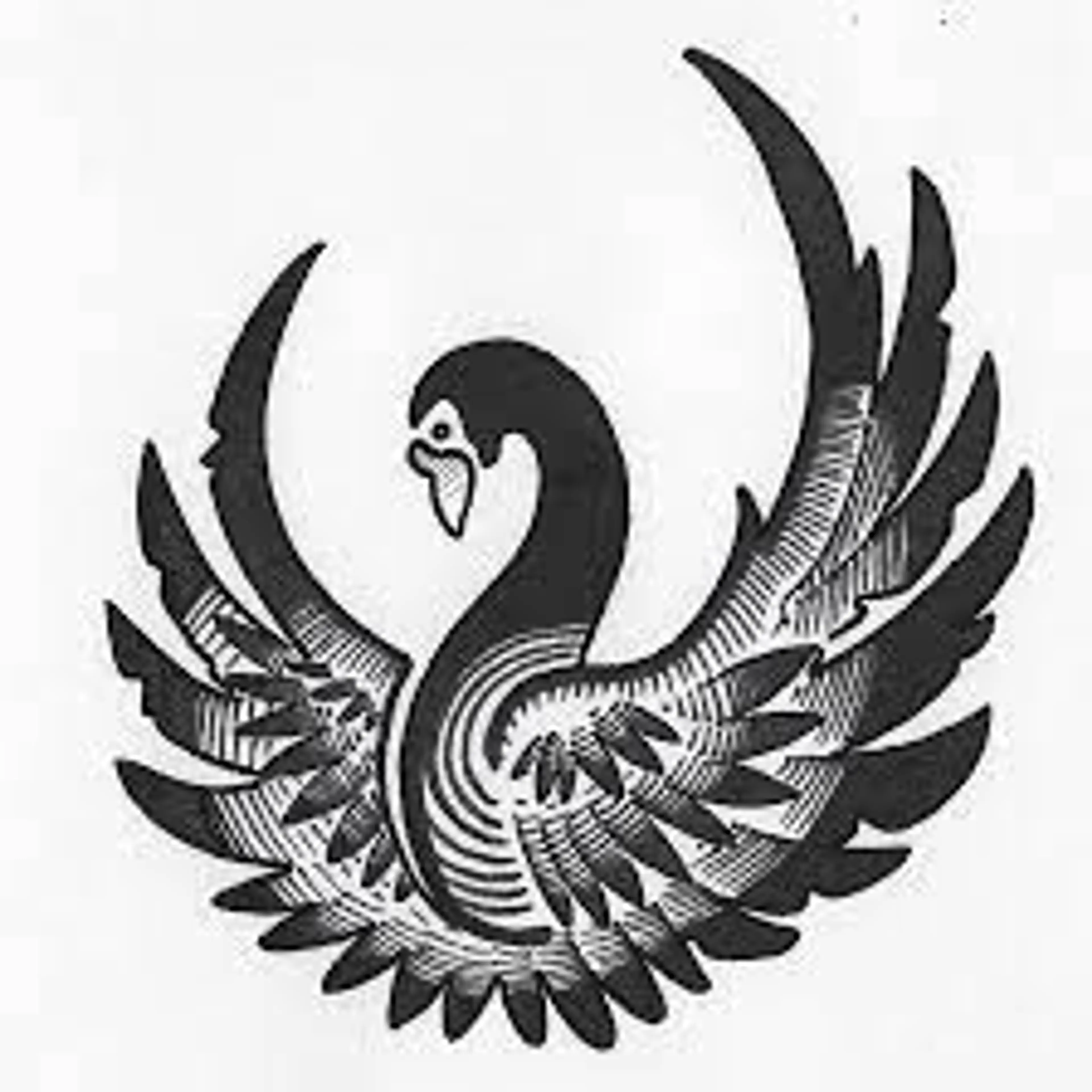 Black Swan Moving logo