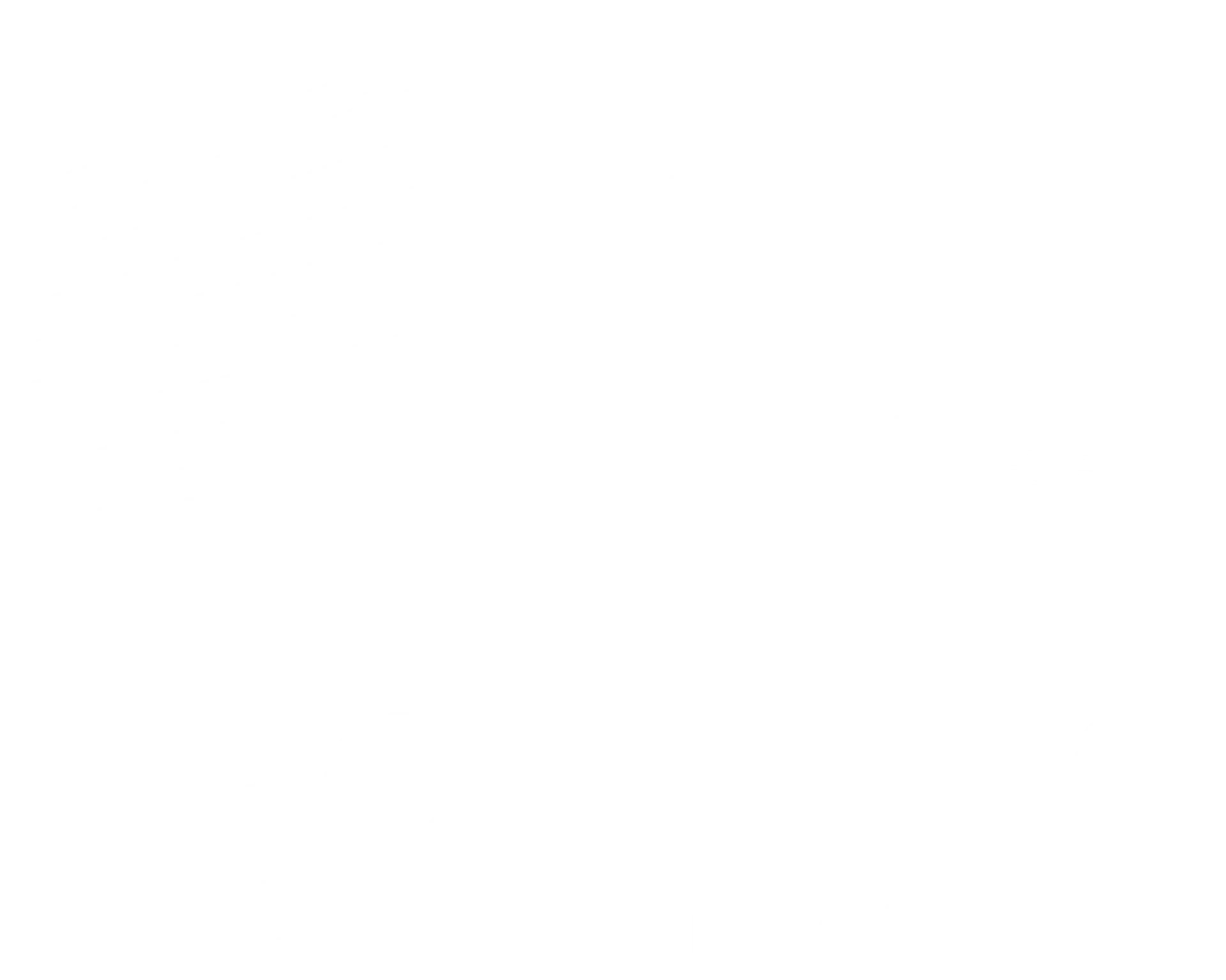 Brothers On The Move logo