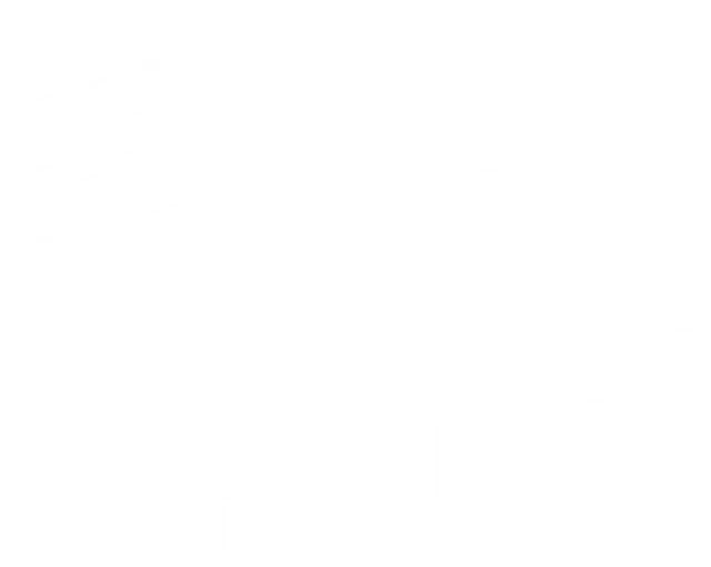 Brothers On The Move Logo