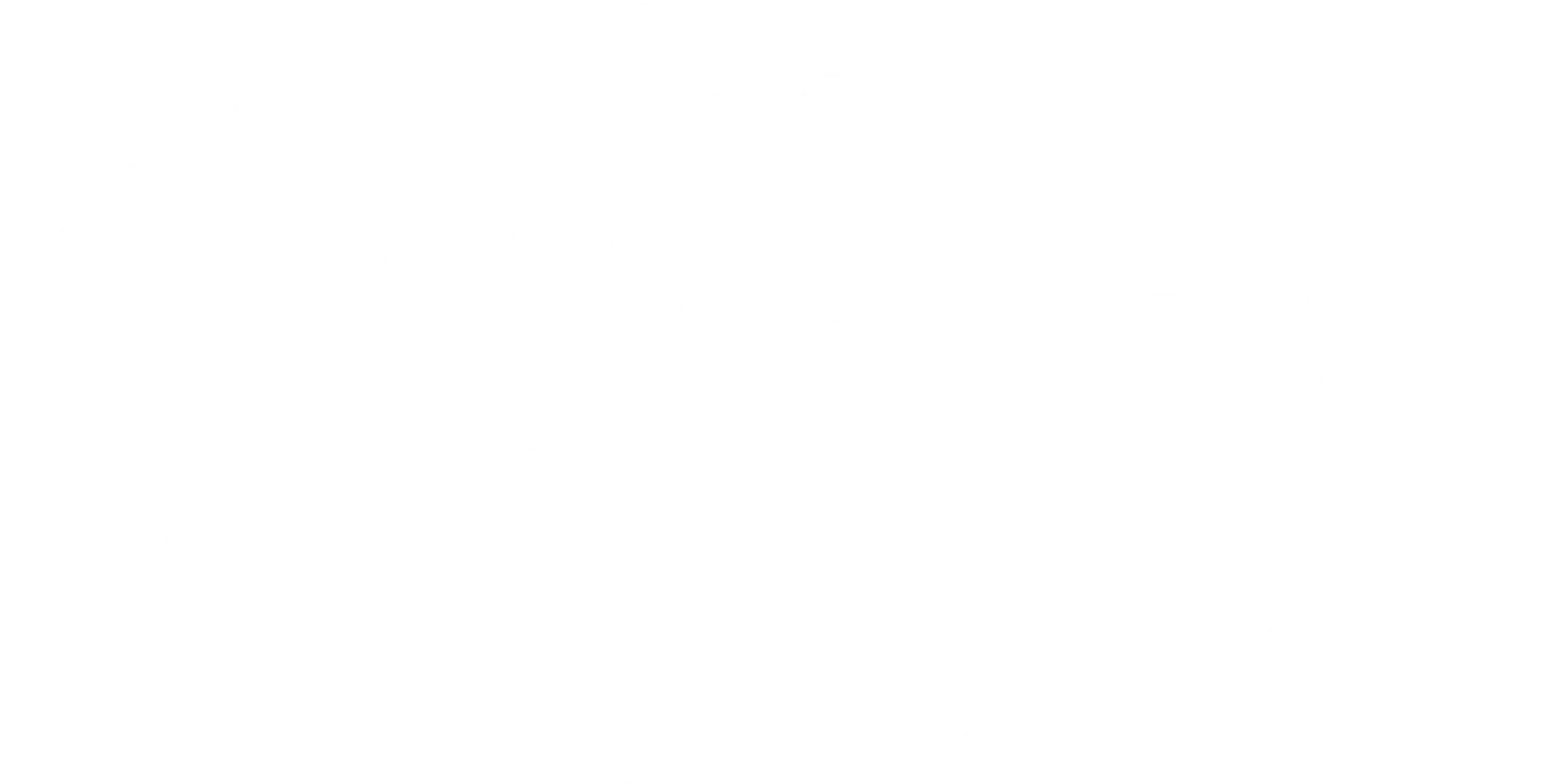 Camelot Moving & Storage logo