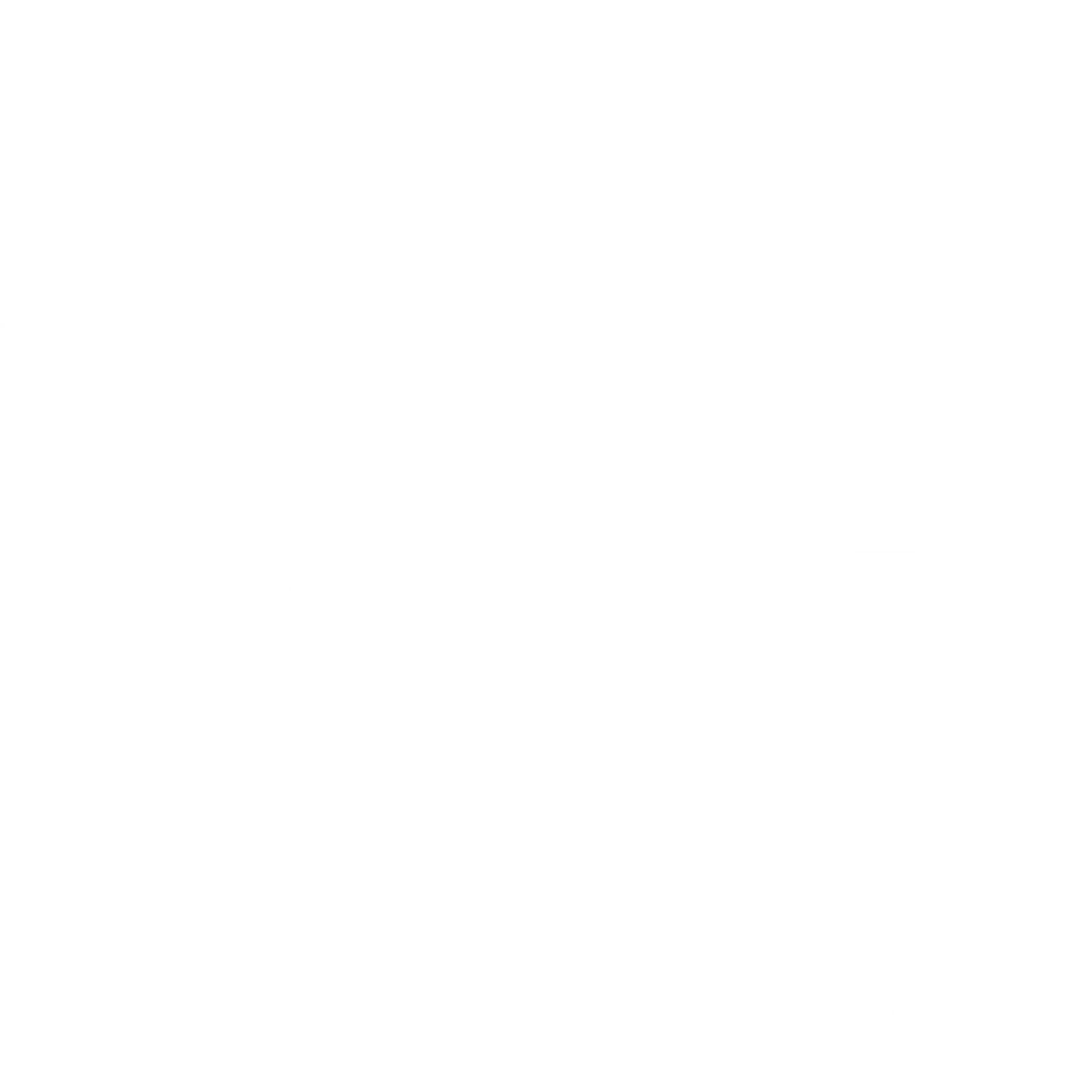 Carolina Moving & Storage Co logo