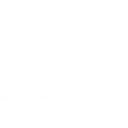 Carolina Moving & Storage Co Logo