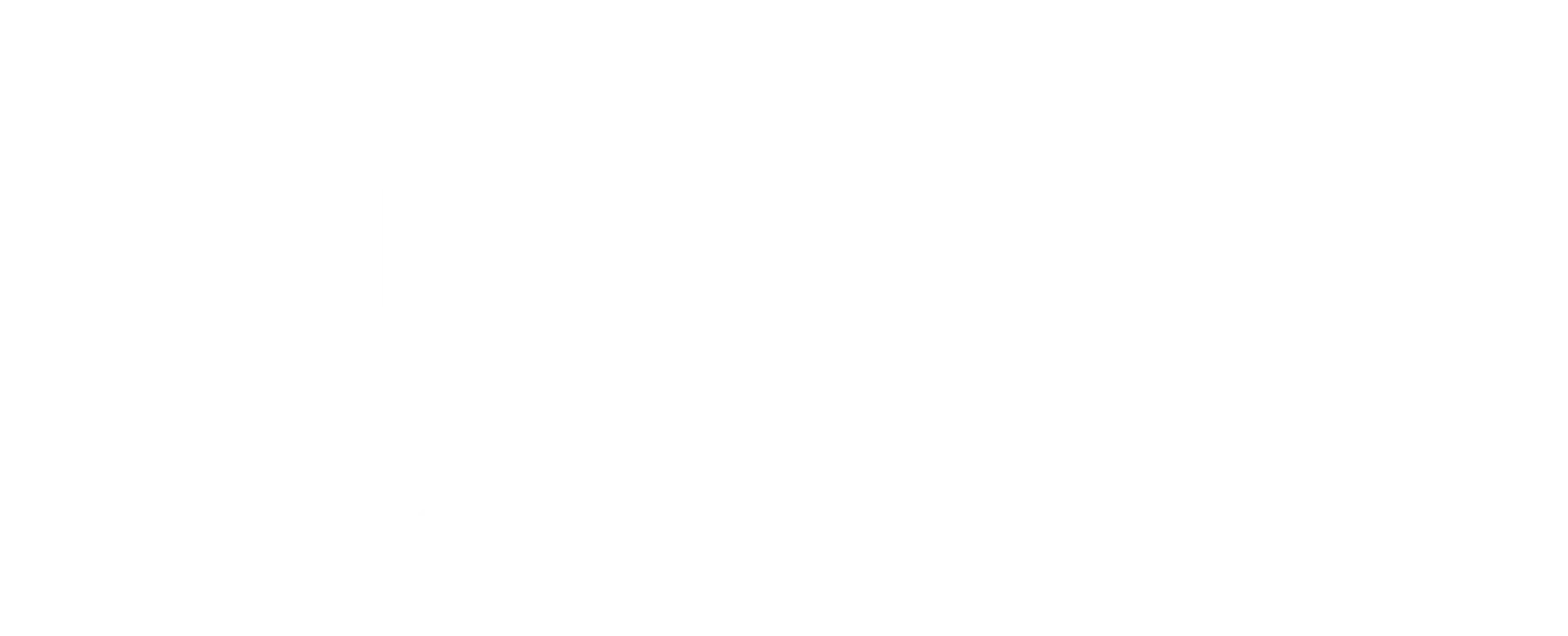 Dallas Movers Pro logo