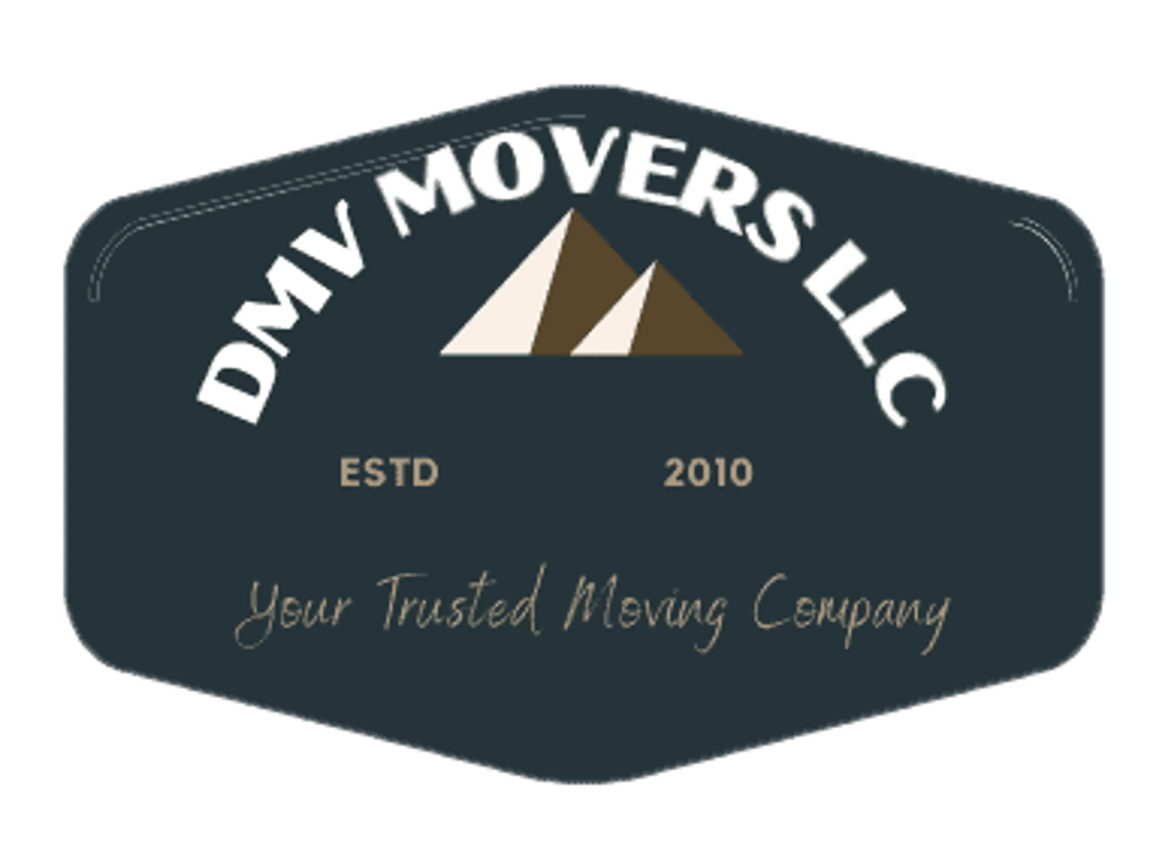 DMV Movers LLC logo