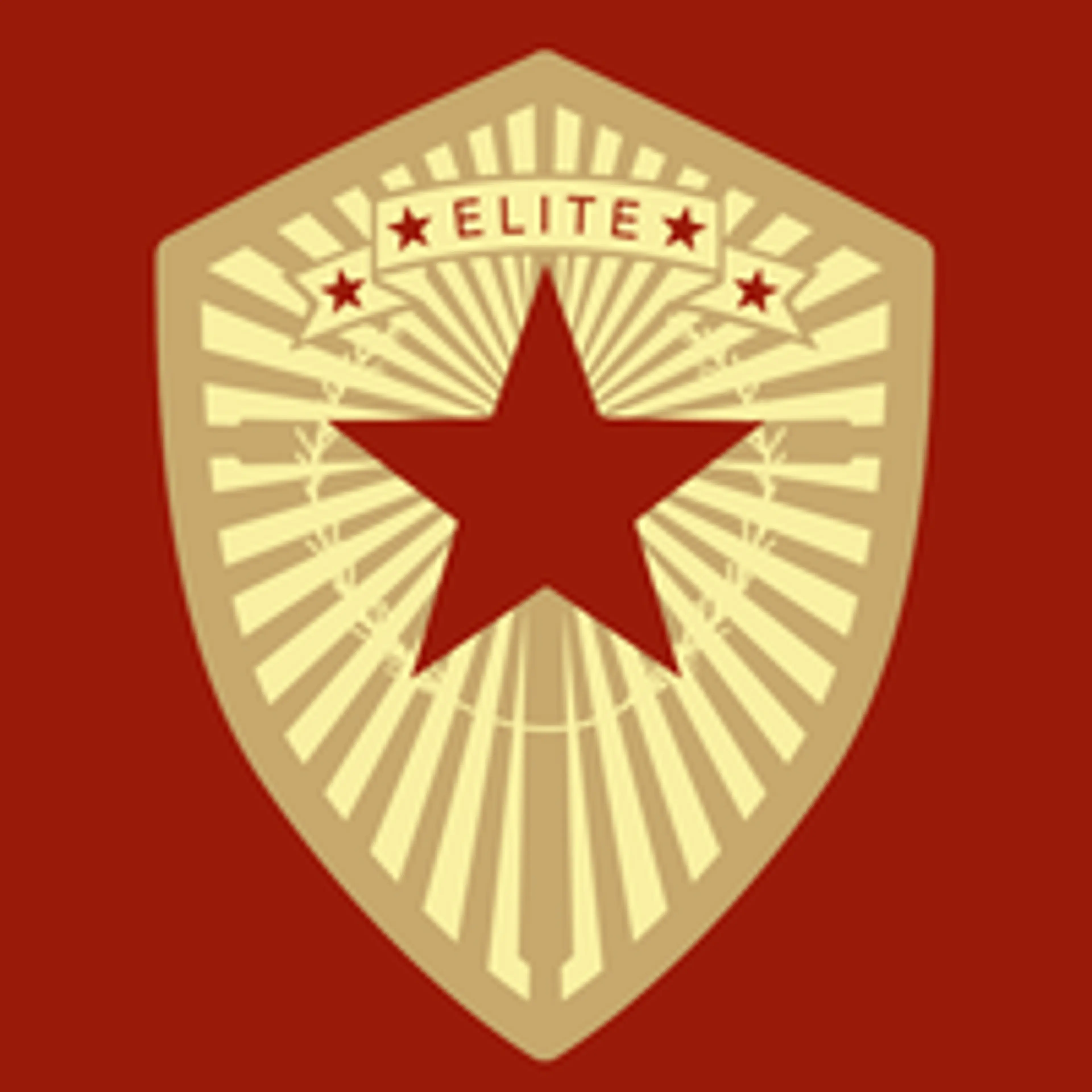 Elite Star Movers logo