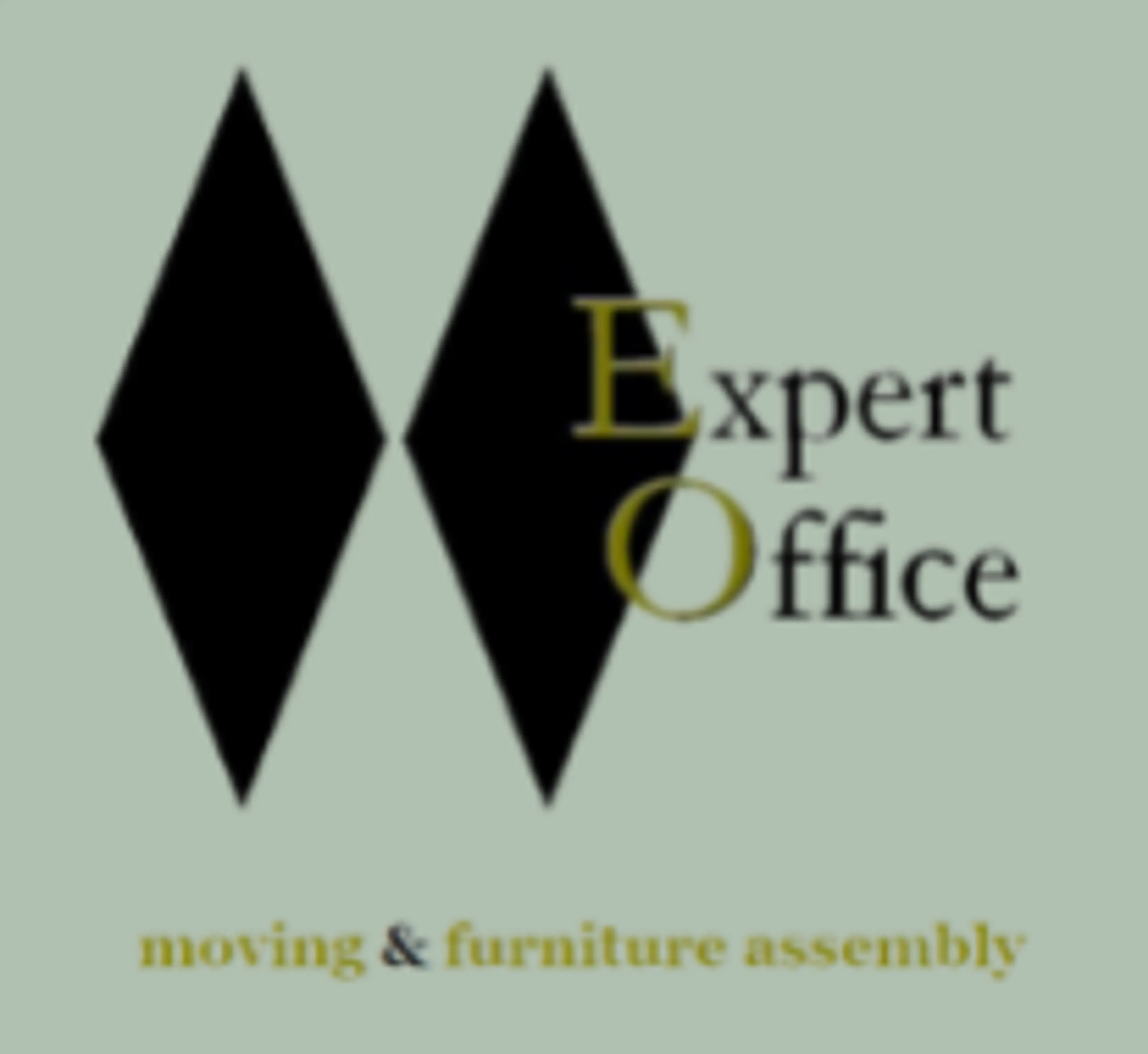 Expert Office logo