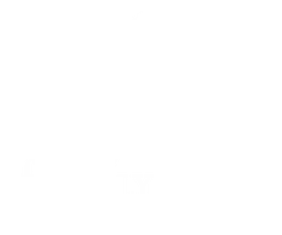 Finally Home Services Logo