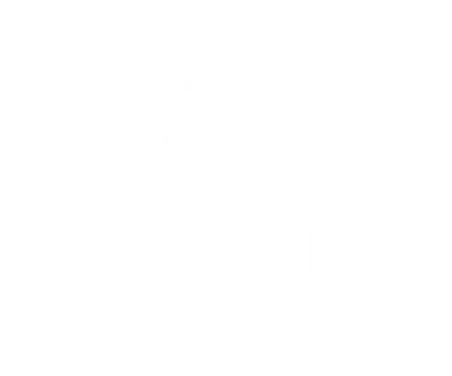 Finally Home Services Logo