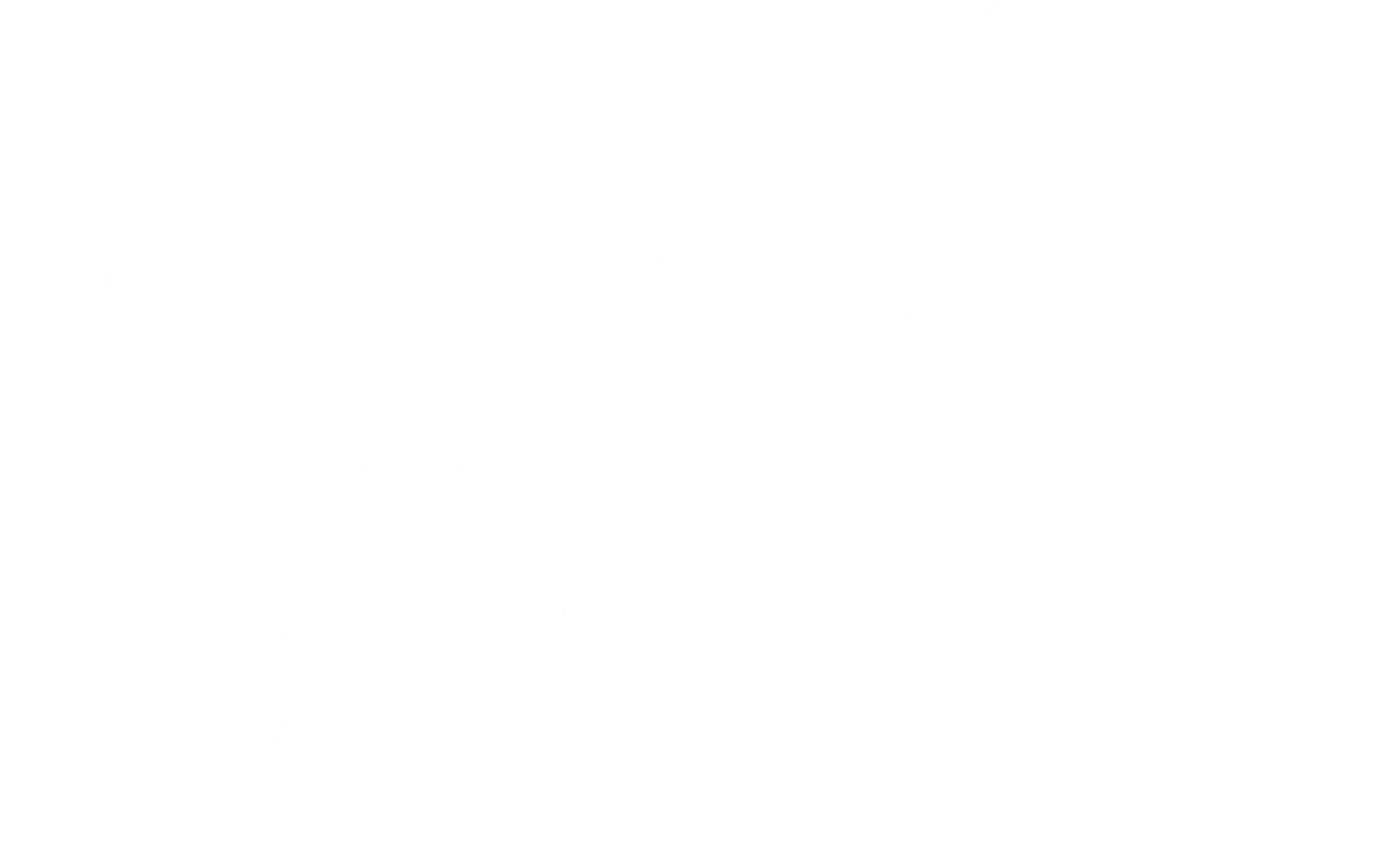 Like Movers LLC logo