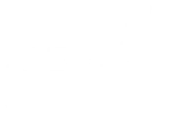 Like Movers LLC Logo