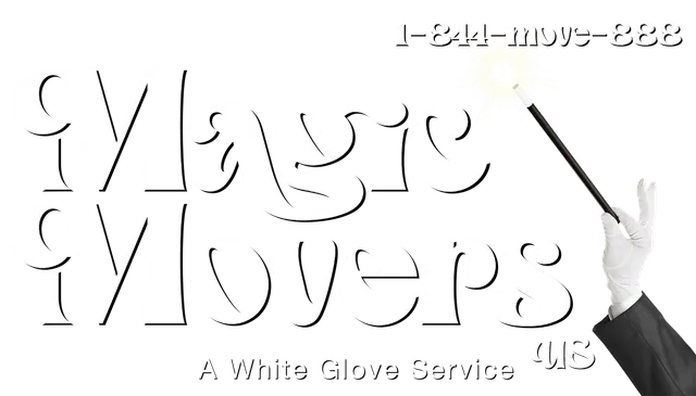 Magic Movers US Logo