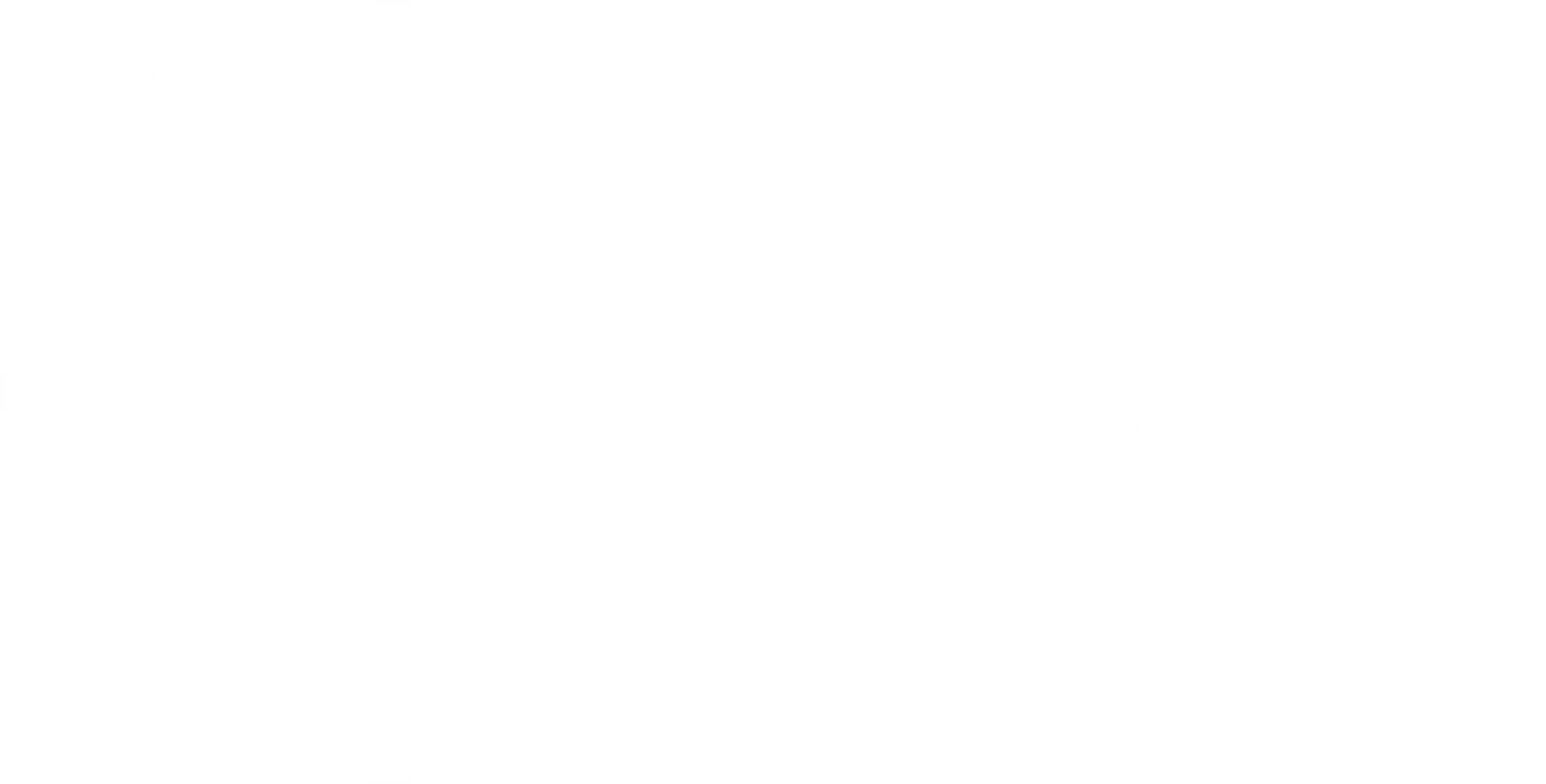 Majestic Mountain Movers logo