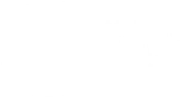 Majestic Mountain Movers Logo