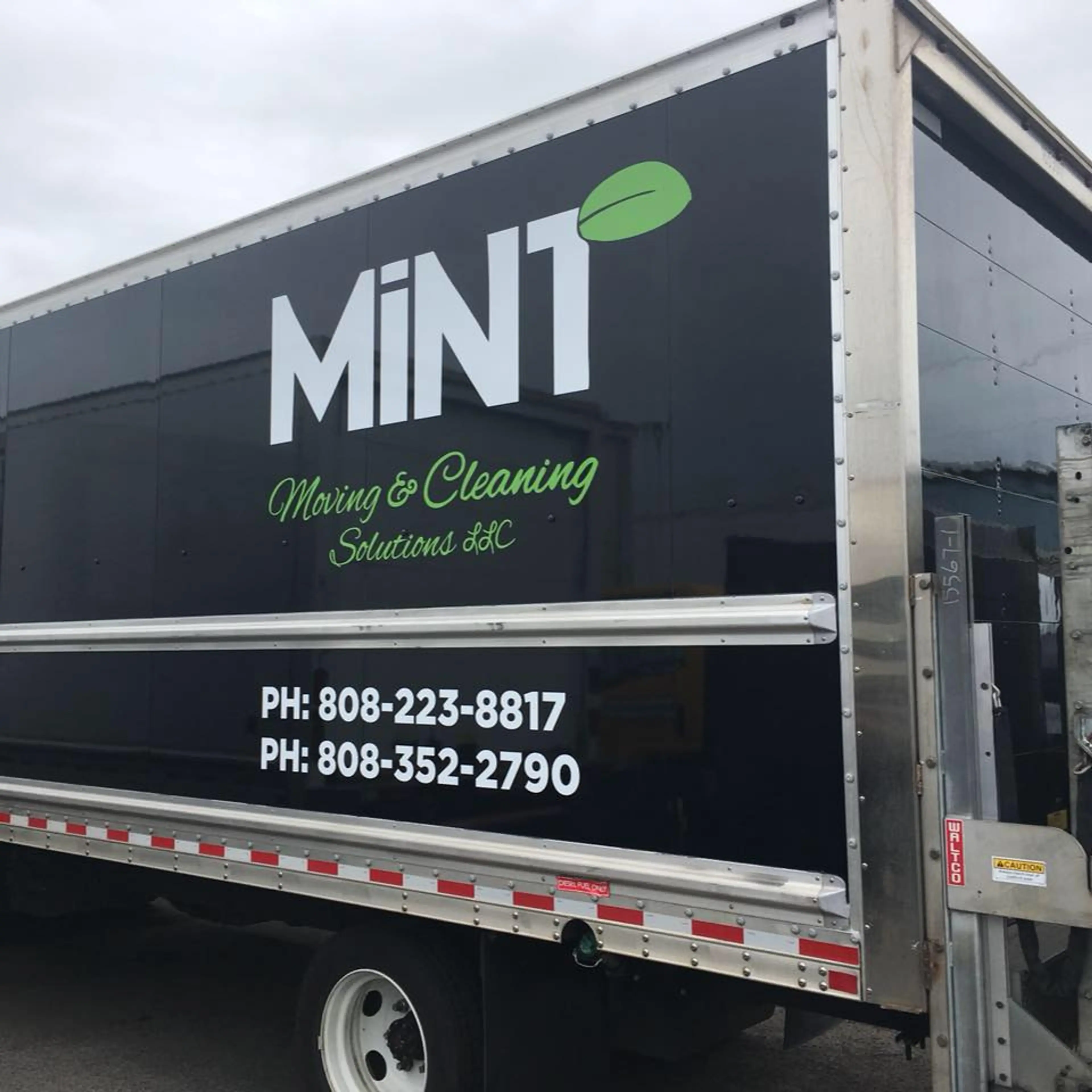 Mint Moving and Cleaning Solutions LLC logo