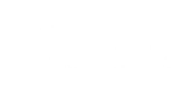 Miranda Delivery Service LLC Logo