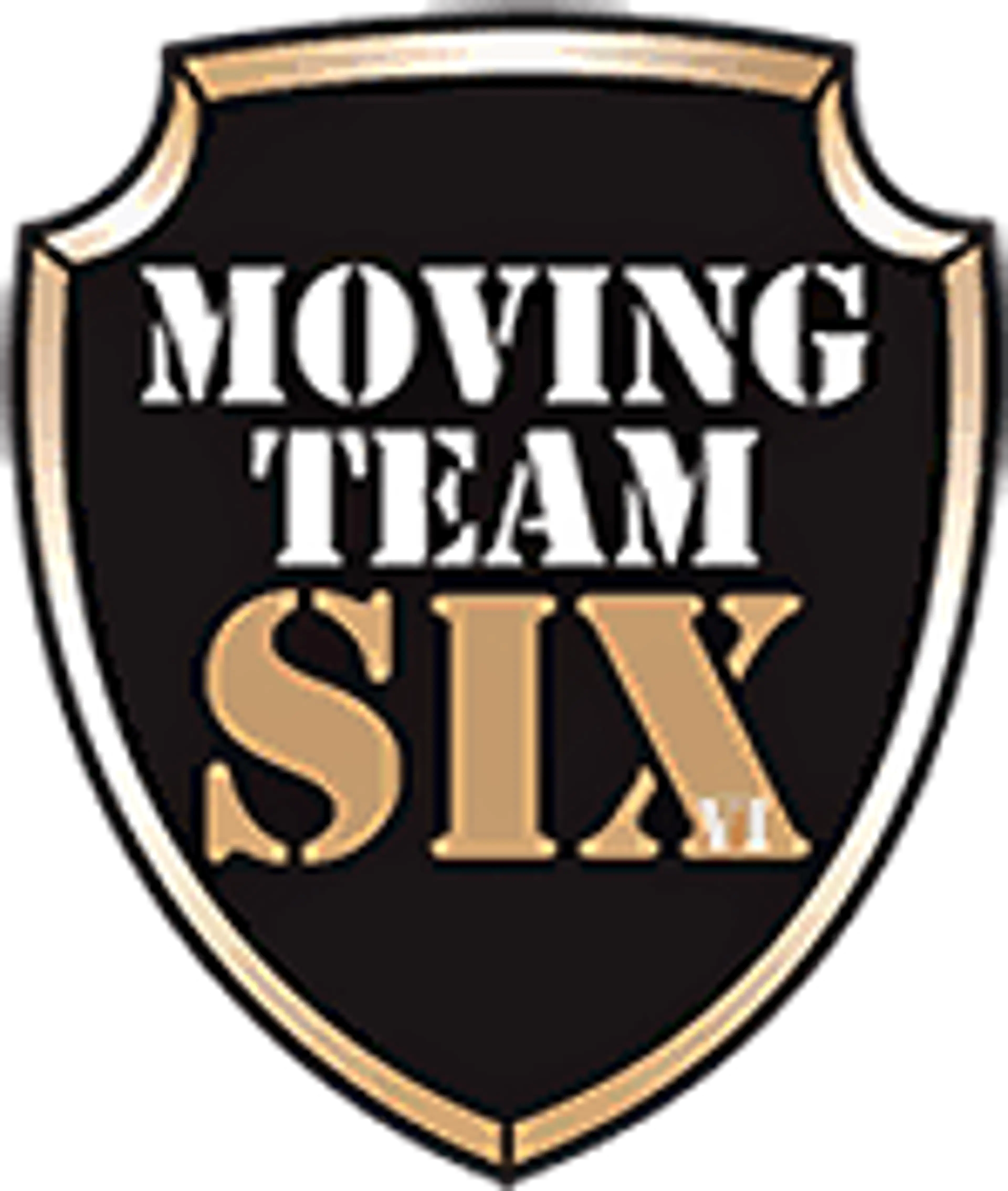 Moving Team Six logo