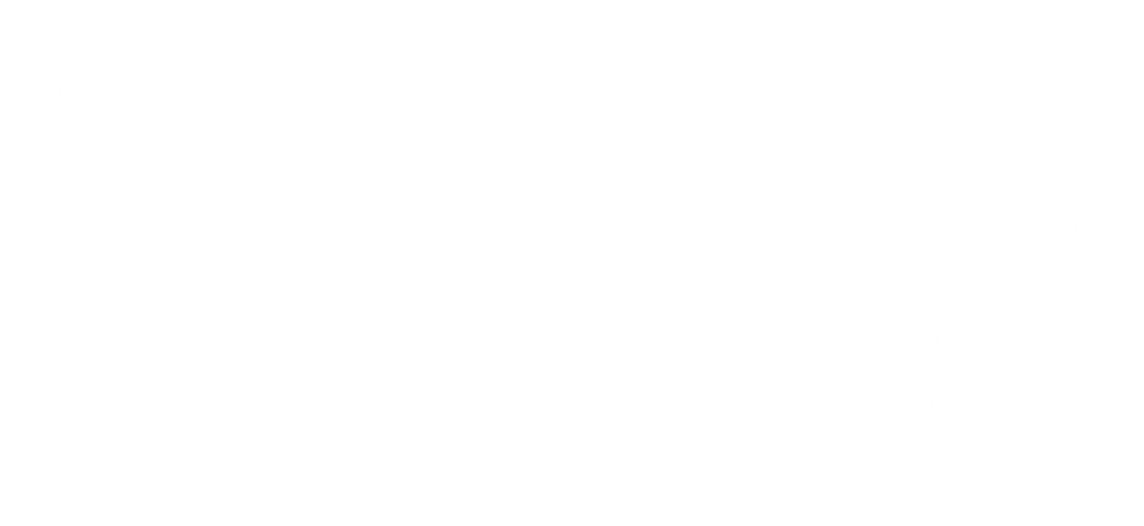 MVM Moving & Storage  logo