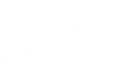 MVM Moving & Storage Logo