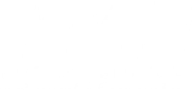 MVM Moving & Storage  Logo