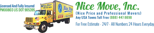 Nice Move, Inc. Logo