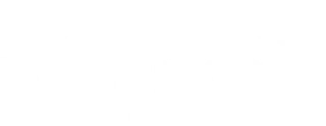 N L Wilson Moving & Storage Logo