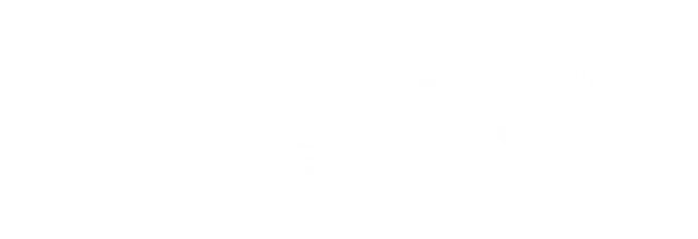 Paragon Moving & Storage Logo