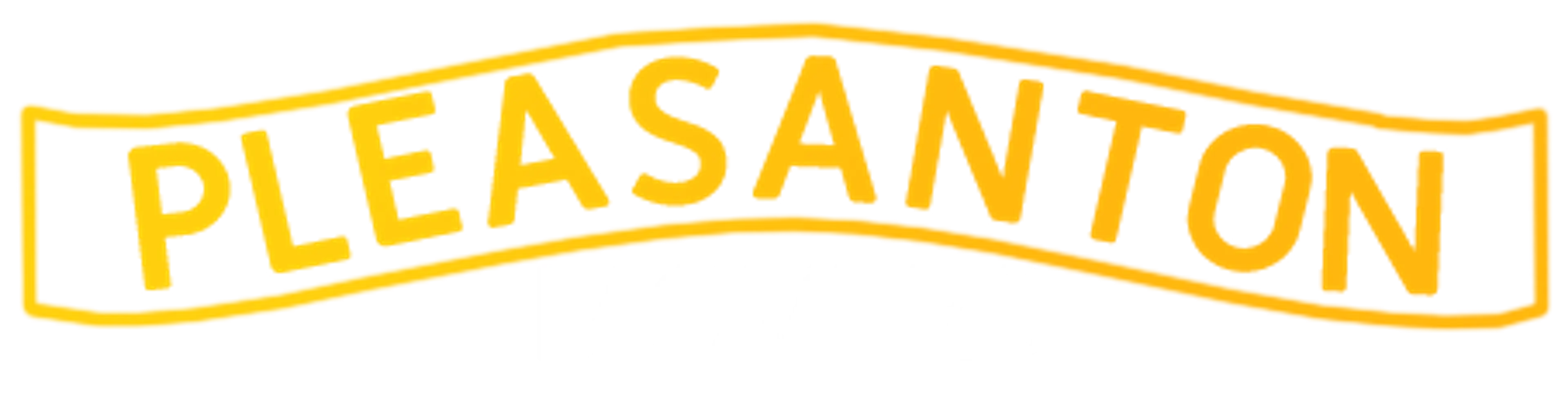 Professional Movers Pleasanton logo