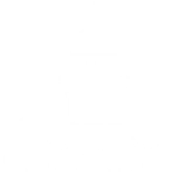 Professional Sacramento Movers Logo