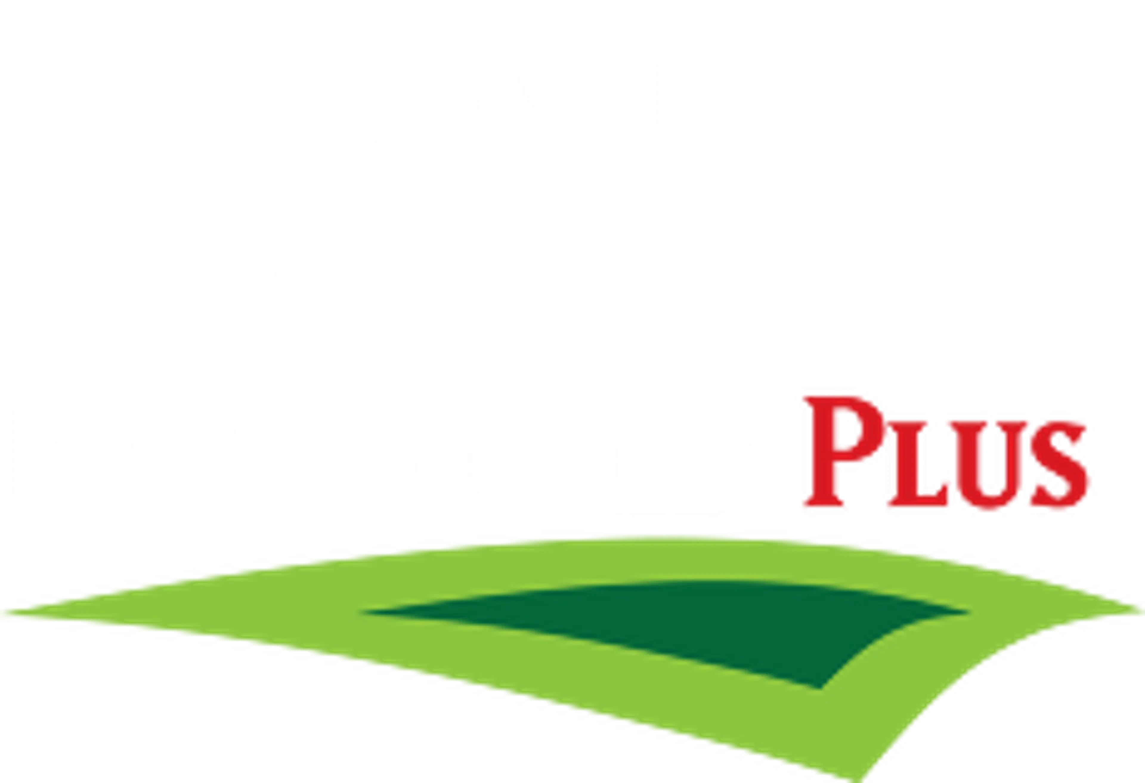 Pro Movers Plus logo