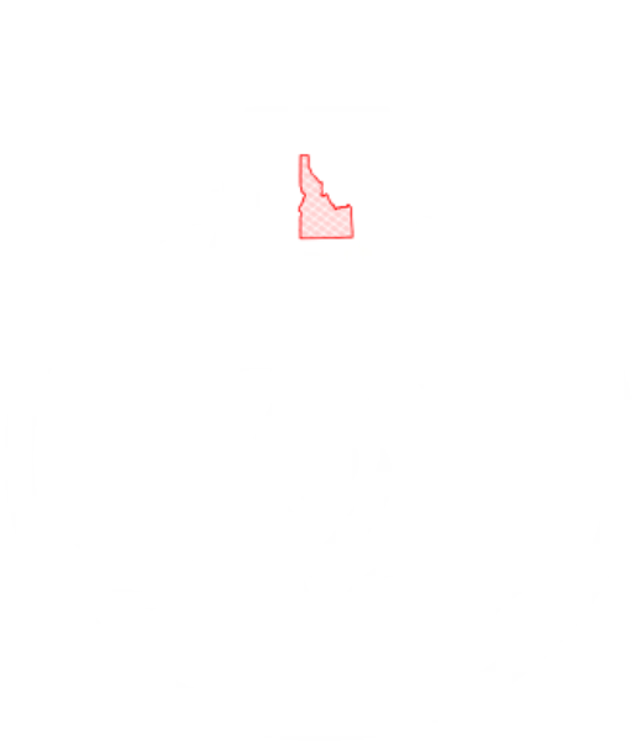 Rocket Van Lines LLC Logo