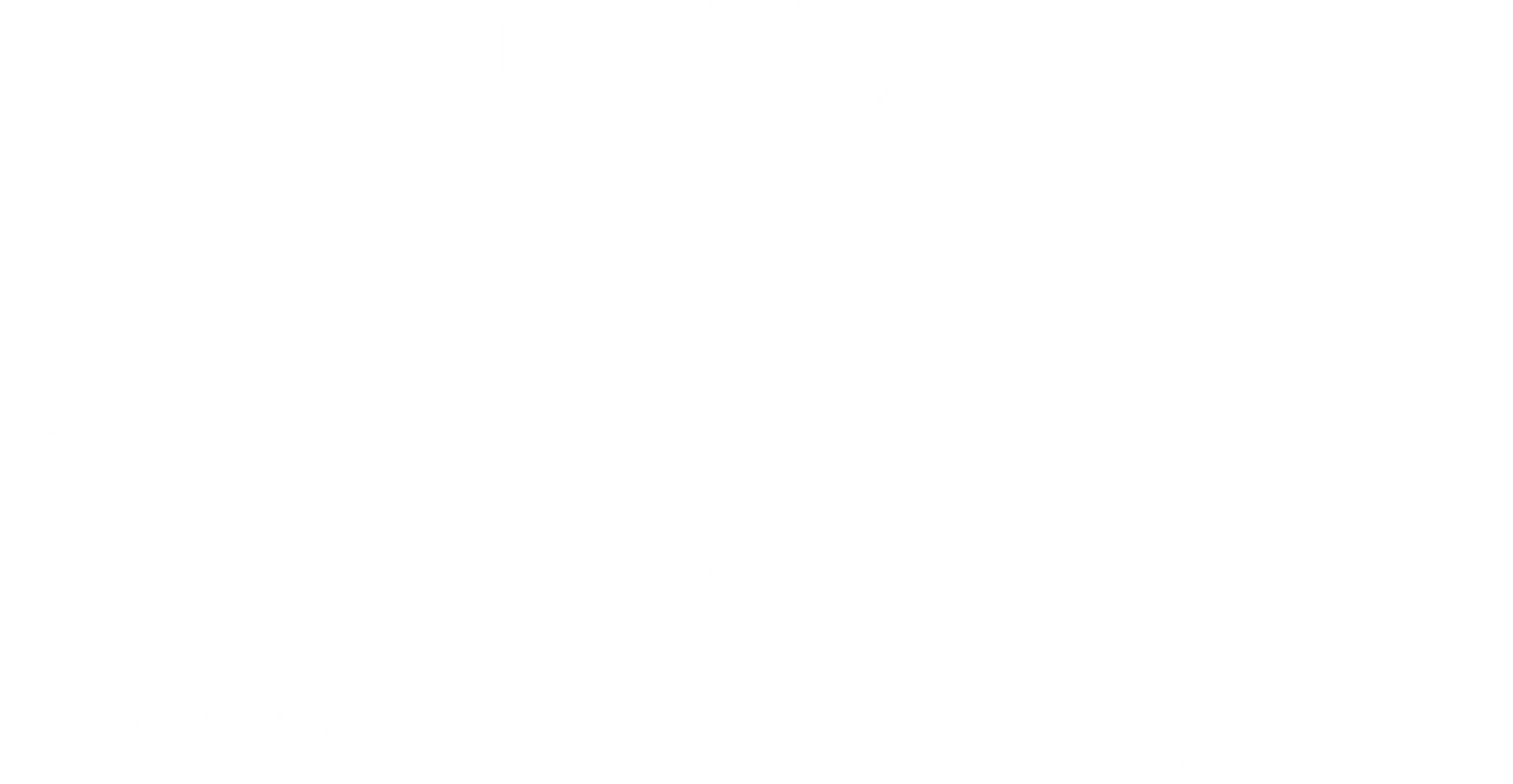 Smooth Moving & Storage logo