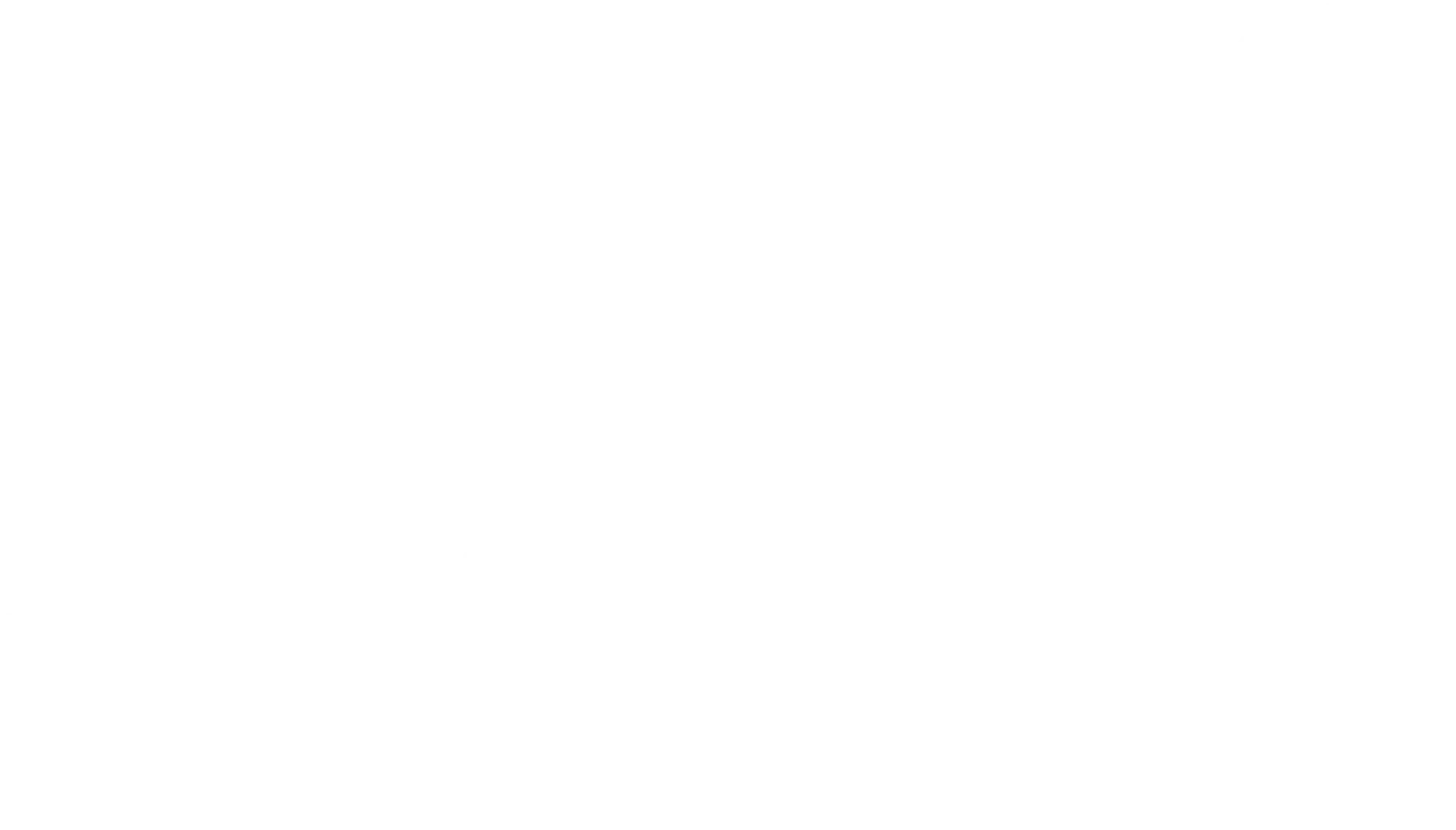 Stairhopper Movers logo