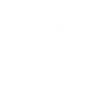 Stellar Movers Logo