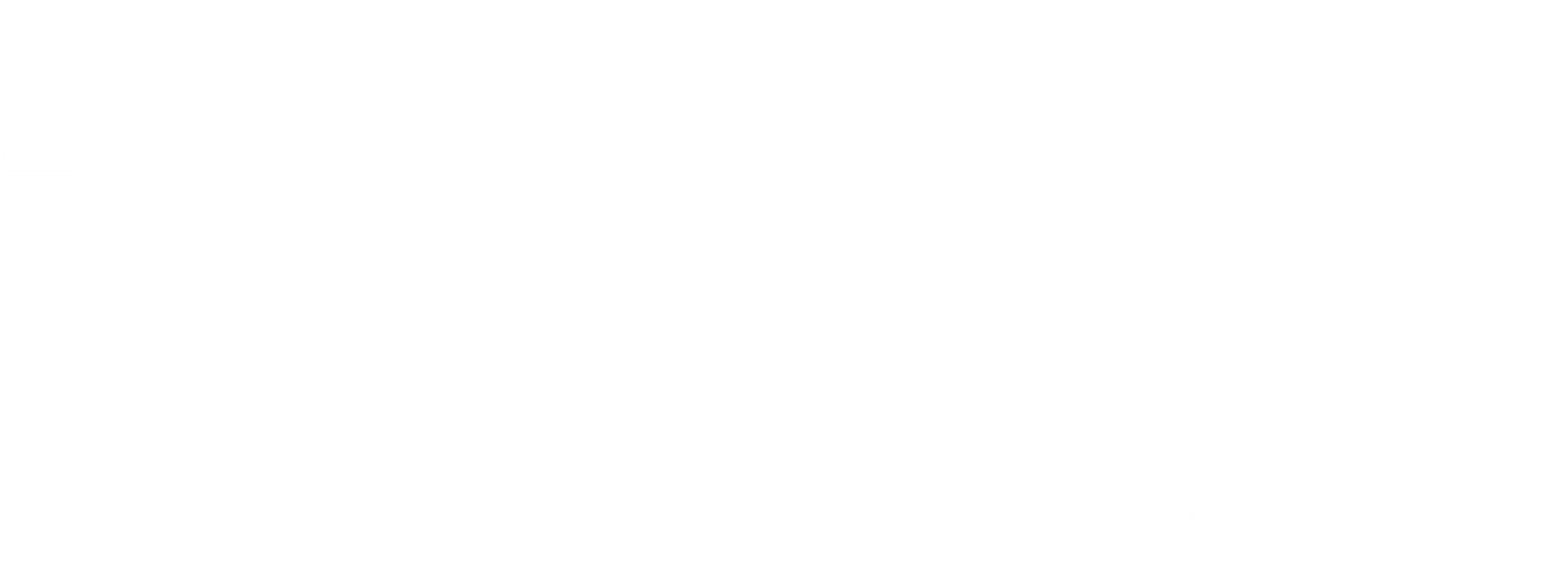 Union Transfer & Storage logo