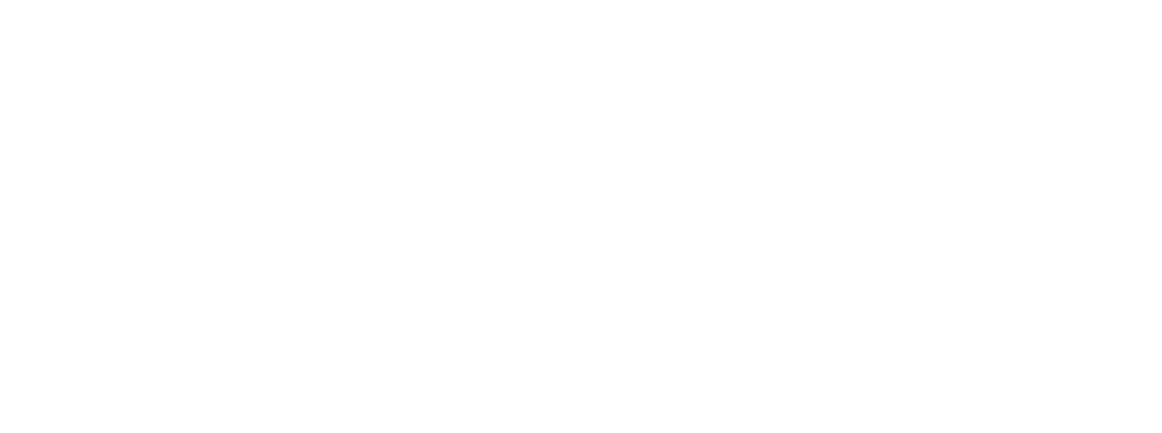 VanMile logo